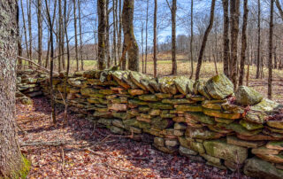 Impressive Stone Walls across 121 acres -- 330 Middlemist Road